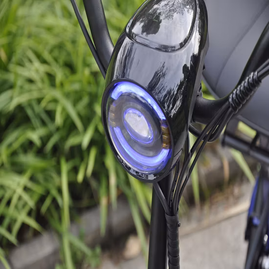 Vespa eléctrica adulta de la movilidad de 4 ruedas del productor de la fábrica de China para las personas mayores