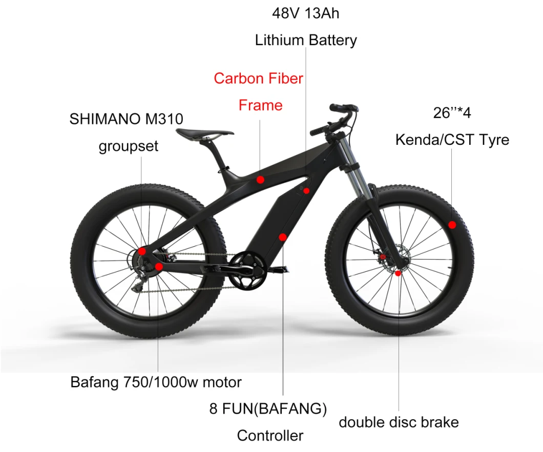 Electric Bicycle (old) Dirt Bike Electric with Shimano System Electric Scooter for Adults