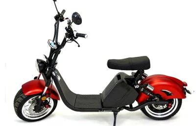 Scooter eléctrico con batería de litio extraíble Moto EEC