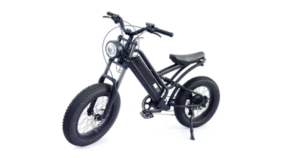 20 * 4.0 Fat Tire Male Mountain and Conmuting Aluminio Frame Bicicleta eléctrica E-Bicycle Ebike